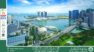  ((Sustainability: its concept and importance in building a sustainable future))