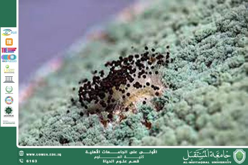 A scientific article by the lecturer (Assistant Professor Zainab Nazim Aziz) entitled “Trichoderma fungus and its role in agriculture”