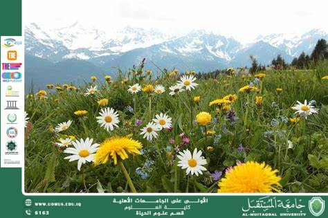 مقالة علمية للانسة نور الهدى عزمي حسن بعنوان "التأثيرات البيئية والتفاعل مع الطبيعة للنباتات الزهرية"
