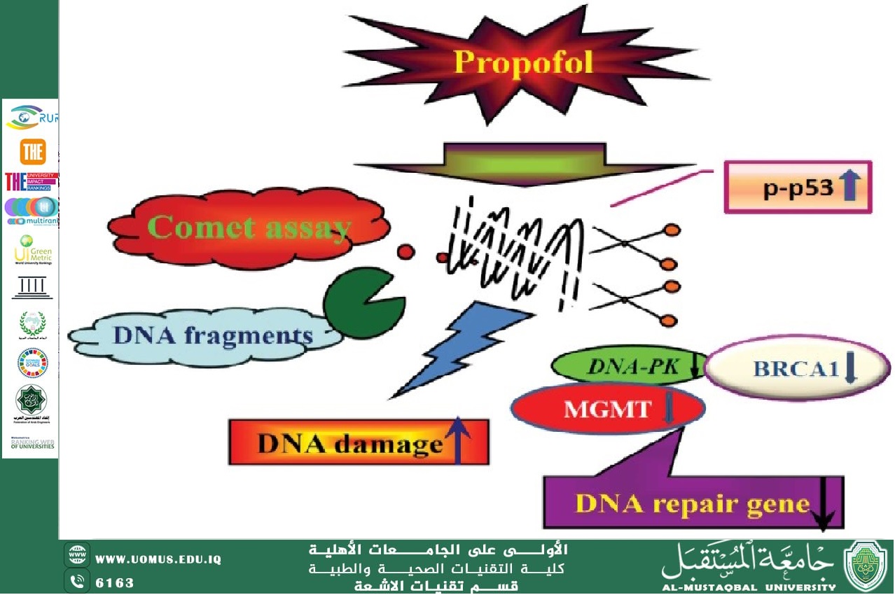 default image