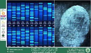  مقاله علميه بعنوان البصمه الوراثيه علم يحدد الهويه بدقه