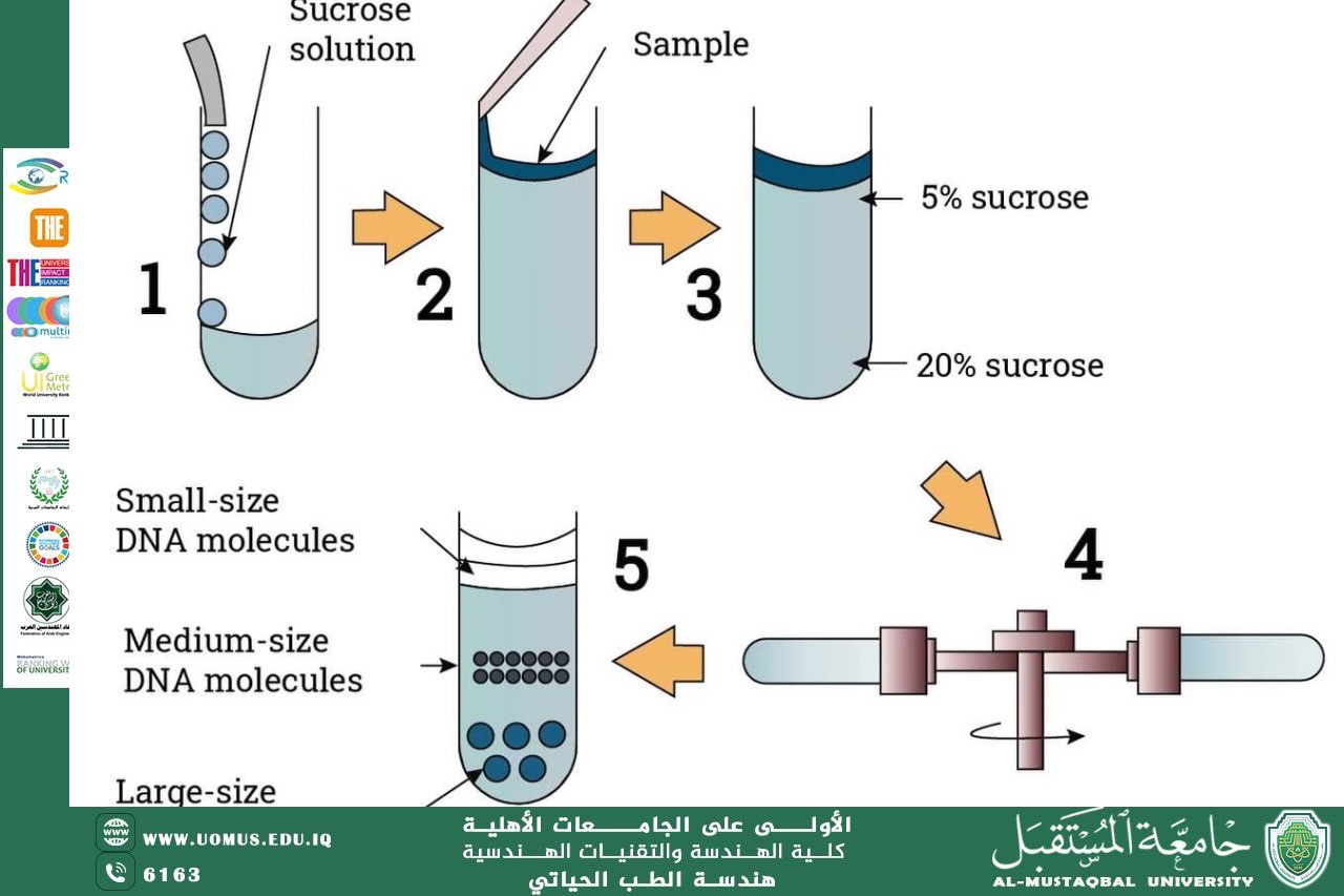 مقالة بعنوان "Centrifugation technique"للمهندس محمد عبد الكريم رزوقي