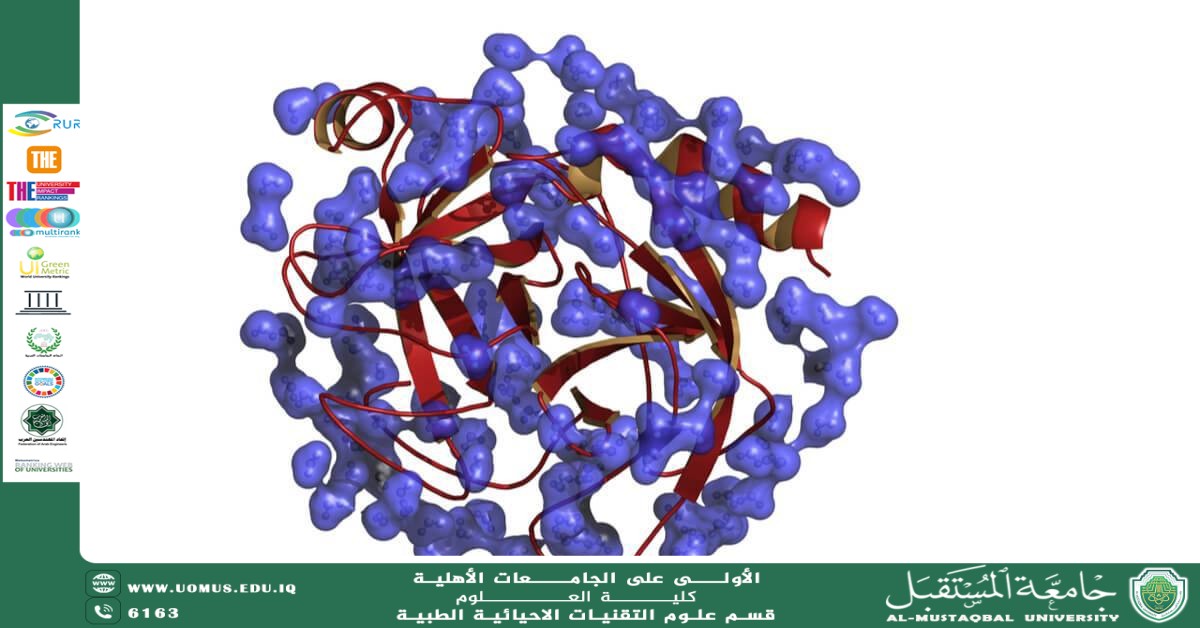 "Scientific Article by Lecturer saja jwaad Title Enzymes: