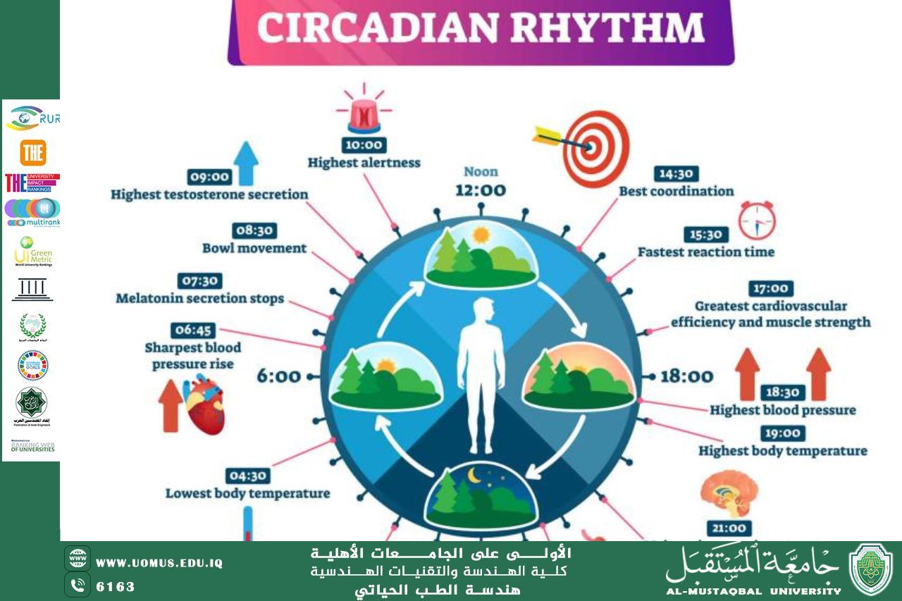 مقالة بعنوان " biological clock"للمهندس محمد عبد الكريم رزوقي