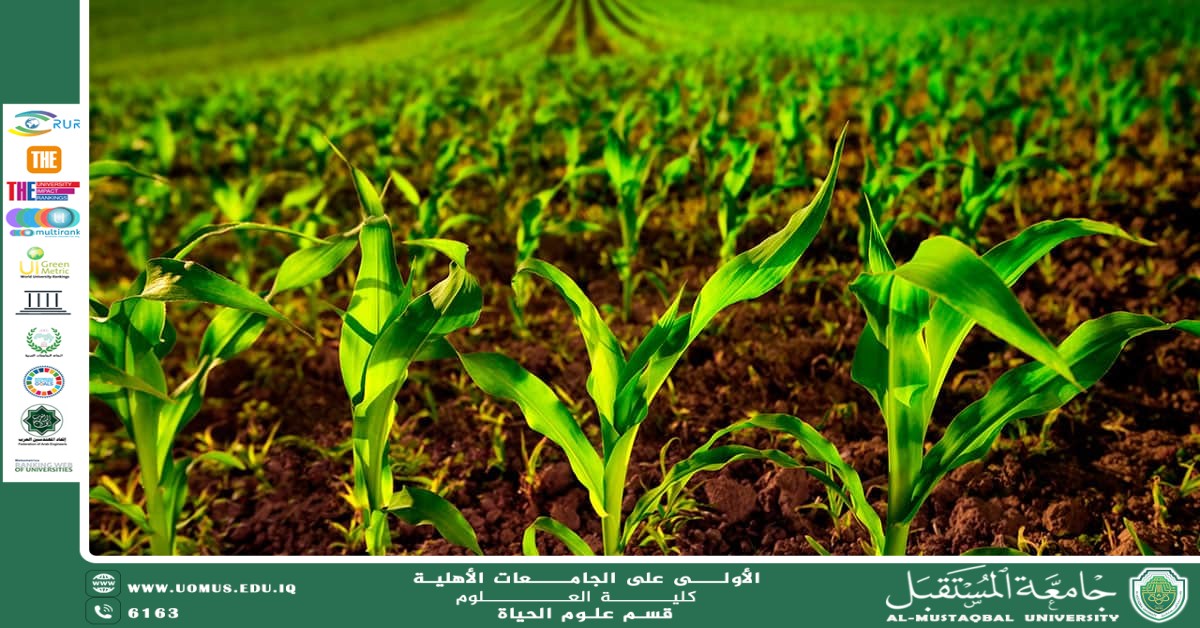 مقالة علمية للانسة نور الهدى عزمي حسن بعنوان " دور الميكروبيولوجيا الزراعية في تعزيز خصوبة التربة  "