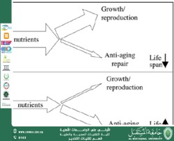 Disposable Soma Theory of Aging-Aqeel Al Jothery
