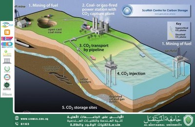 🧪 Carbon Capture, Utilization, and Storage (CCUS): A Key to a Low-Carbon Future