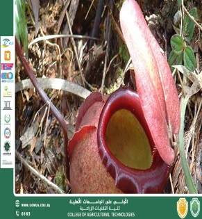 default image