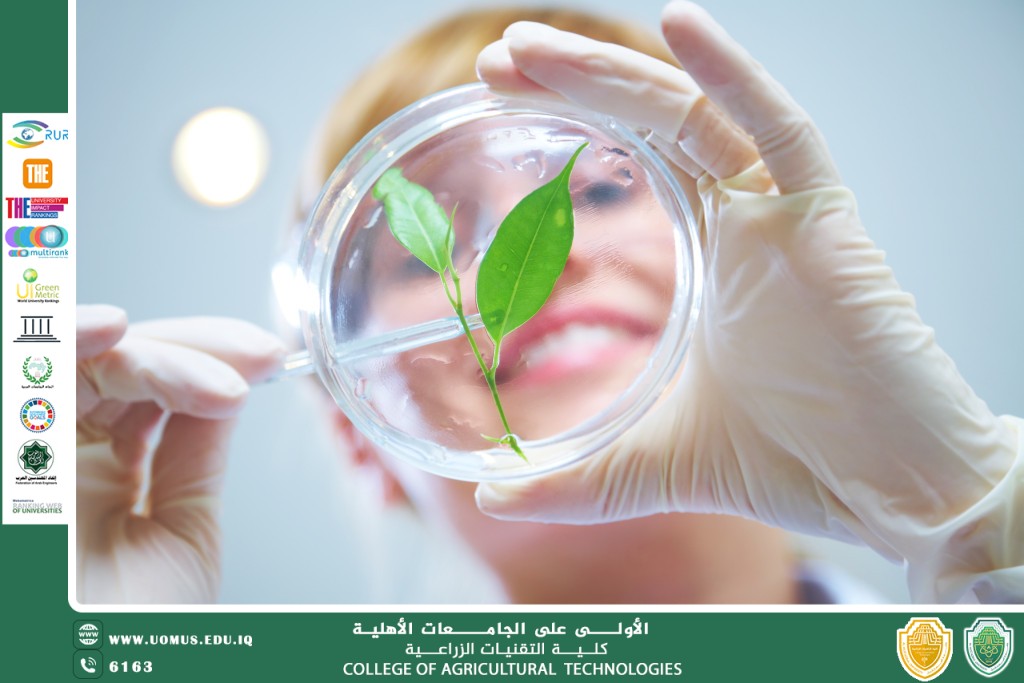 مقالة علمية للتدريسي أ.د مجيد كاظم عباس بعنوان دور تقنية النانو nanotechnology في تحسين اداء المحاصيل البستنية 