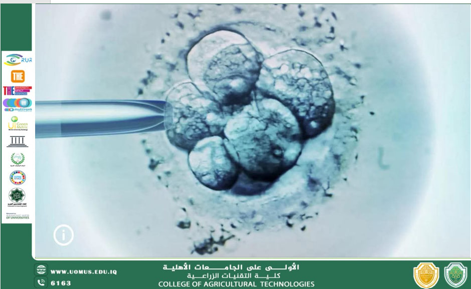 مقالة للاستاذ الدكتور احمد جميل الطائي بعنوان أول جنين اصطناعي في العالم بدون بويضة أو حيوان منوي قفزة علمية