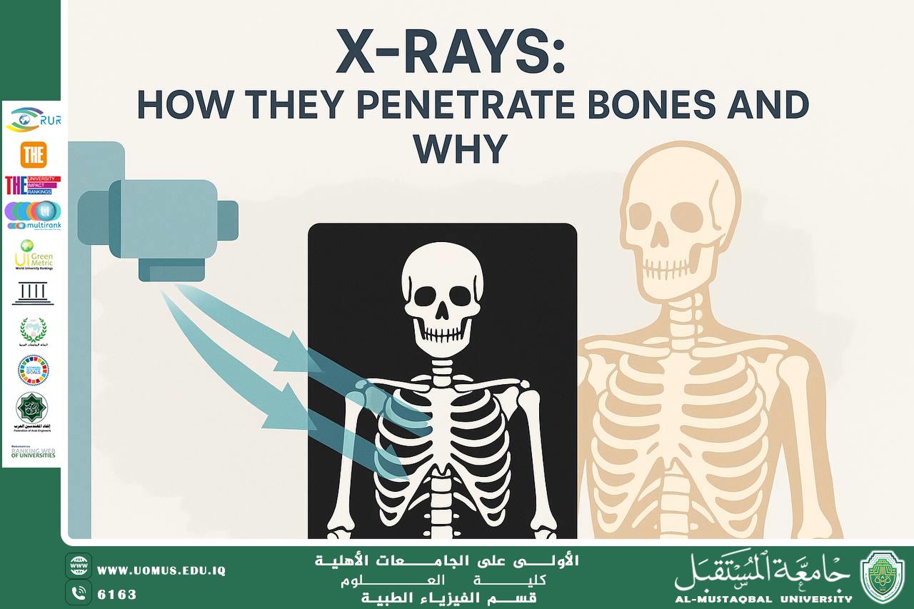A scientific article by the teaching assistant (Haneen Hani) entitled "X-rays: How and why do they penetrate bones?"