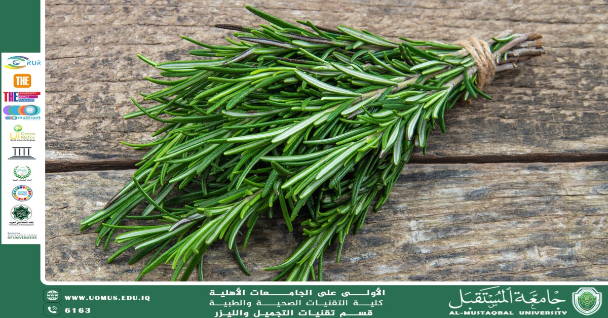 Benefits of Rosemary
