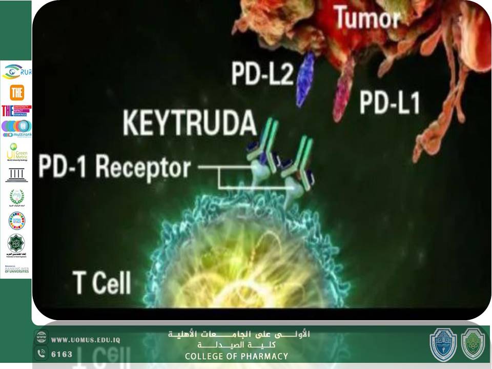مقاله عن  الابتكارات في أساليب علاج السرطان: العلاج المناعي  (keytruda /pembrolizumab)  بقلم د. وئام جاسم عباس في كلية الصيدلة جامعة المستقبل