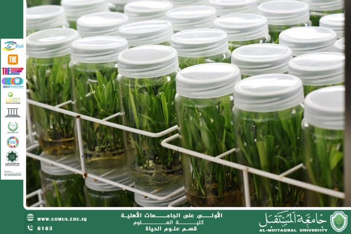 مقالة علمية للانسة نور الهدى عزمي حسن بعنوان " التقنيات الحديثة في إكثار الشجيرات باستخدام زراعة الأنسجة النباتية"