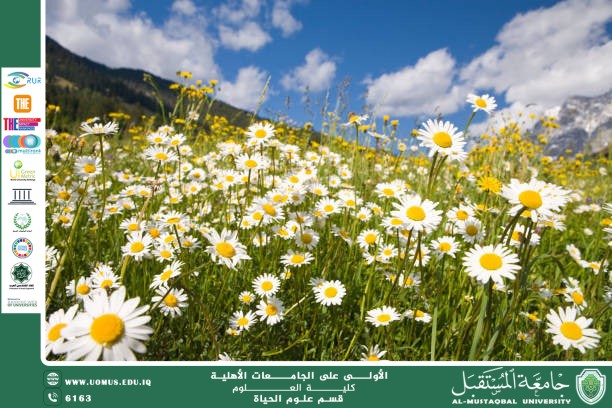 A scientific article by Ms. Nour Al-Huda Azmi Hassan entitled "The Relationship between Flower Structure and Environmental Adaptation"