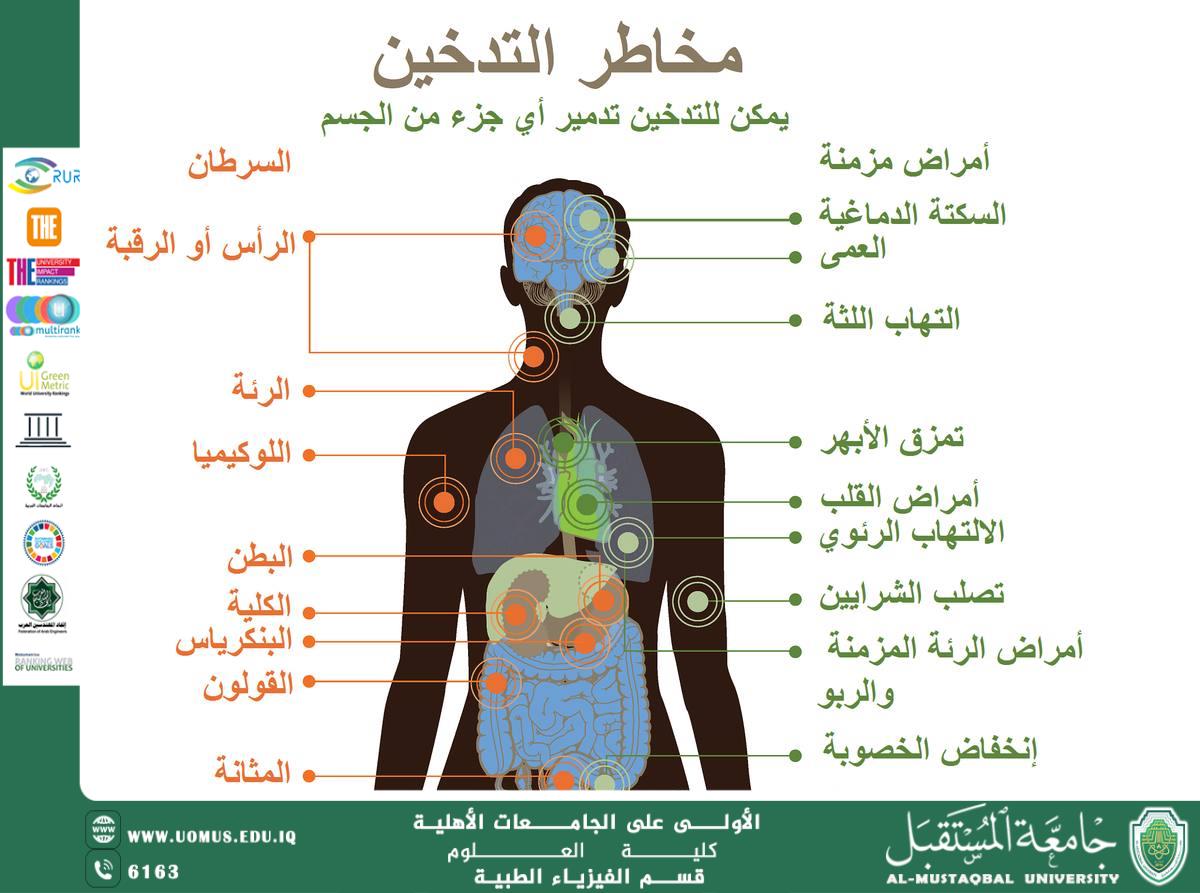 A scientific article by the teaching assistant (Iftikhar Thamer) entitled “The Effect of Smoking on Non-Smokers (Passive Smoking)”