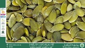 Pumpkin Seeds: A Nutrient Treasure Rich in Health Benefits