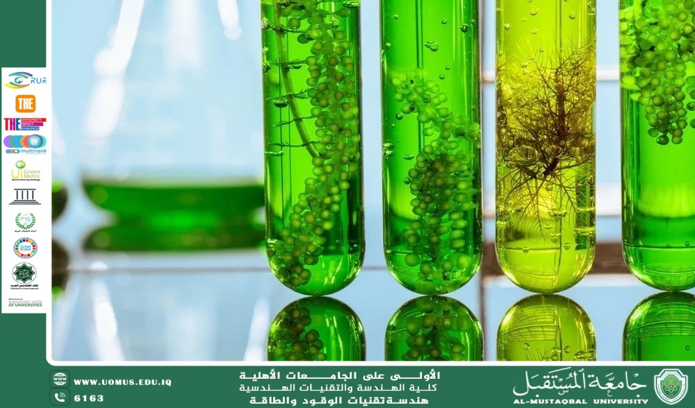 Biofuel from Algae: The Future of Sustainable Laboratory Energy