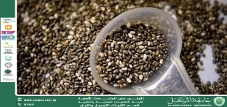 Chia Seeds: A Tiny Nutrient Treasure with Huge Benefits