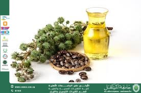  Castor Oil and Its Uses in Cosmetics: A Scientific Overview