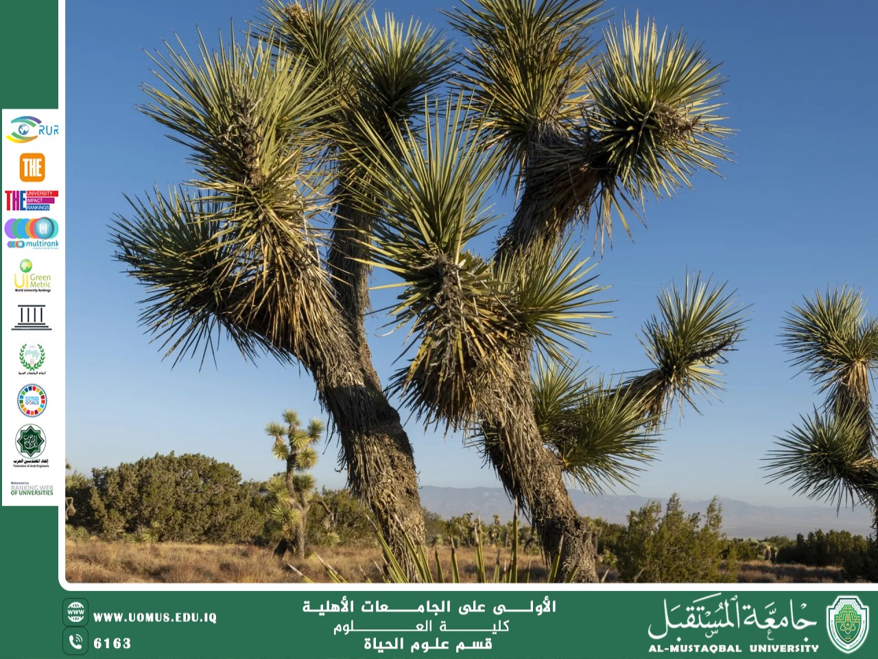 A scientific article By the lecturer, Msc. Zahraa Jawad Kazim entitled "Adaptation and Tolerance to Environmental Stress: Trees as a Living Model of Resilience"