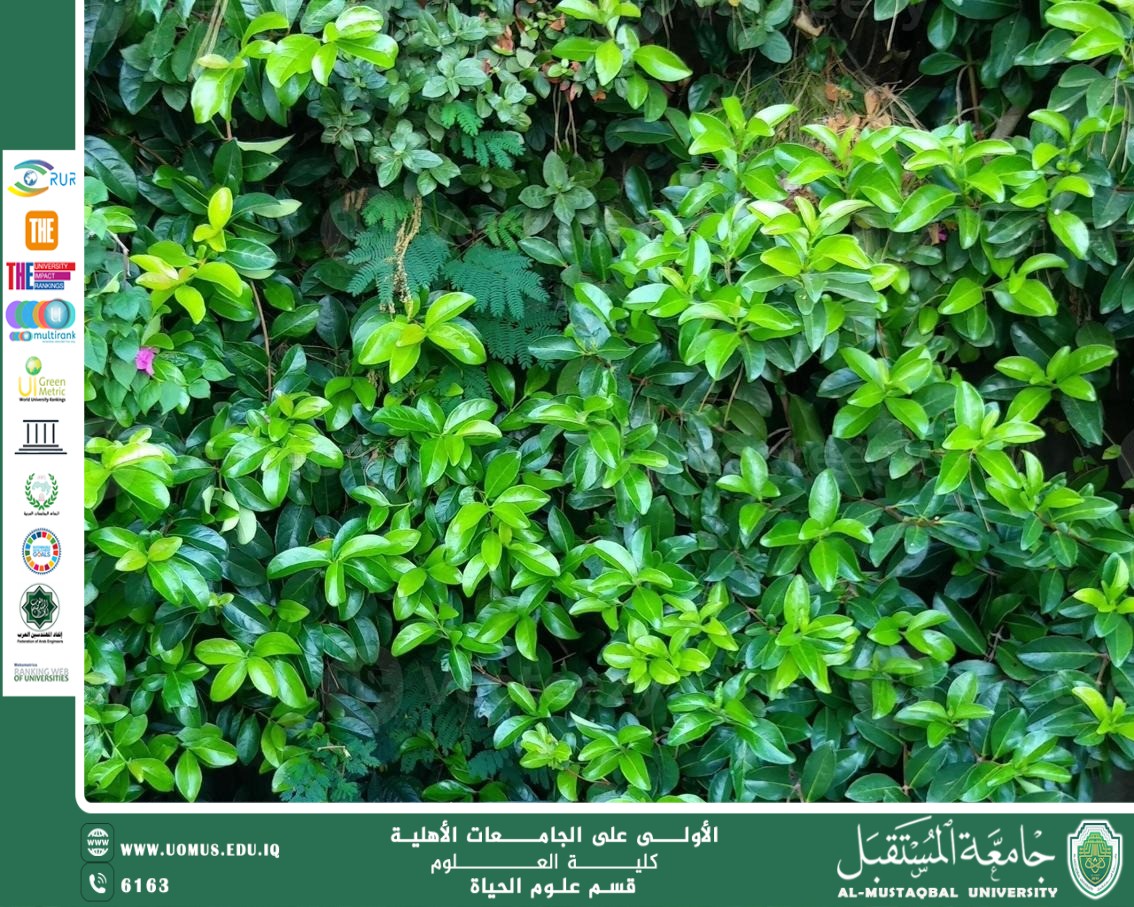 A scientific article by teaching assistant Banin Maan Karim entitled "Halophytes"