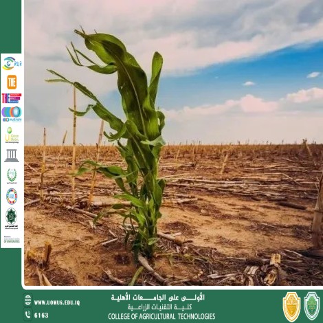 مقالة علمية للتدريسي أ.د مجيد كاظم الحمزاوي بعنوان استراتيجيات التخفيف من الاحتباس الحراري في الزراعة