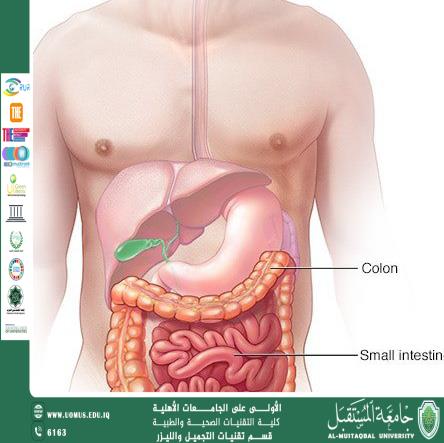 Lactase deficiency: A common condition affecting milk digestion