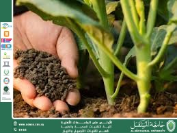 Organic Waste and Compost: Environmentally and Humanly Friendly