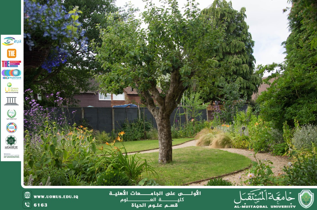 مقالة علمية للتدريسية م.م زينب ناظم عزيز  بعنوان "تصميم الحدائق المنزلية وفق المبادئ البيئية"