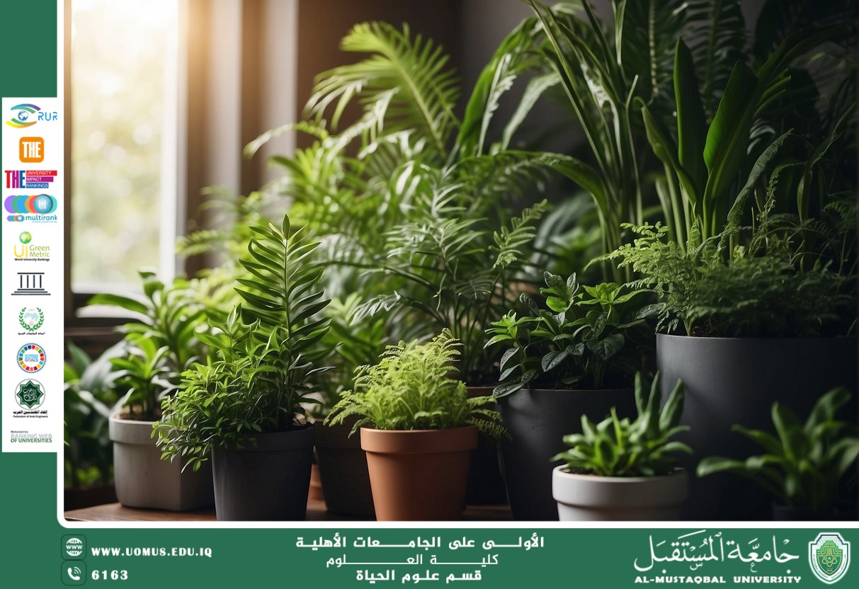 مقالة علمية للتدريسية م.م زينب ناظم عزيز  بعنوان "دور النباتات الداخلية في تحسين جودة الهواء"