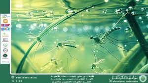مقالة علمية للست شهد نورس بعنوان المياه الراكدة وتكاثر الحشرات الناقلة للأمراض