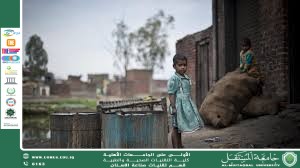 Poverty eradication strategies: between reality and ambition