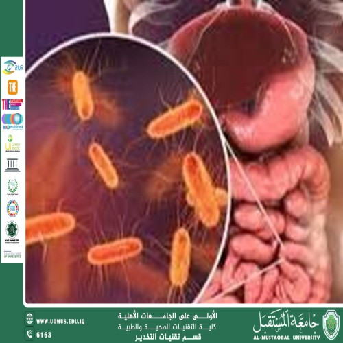 البكتيريا الصالحة في جسم الإنسان: دورها وأهميتها