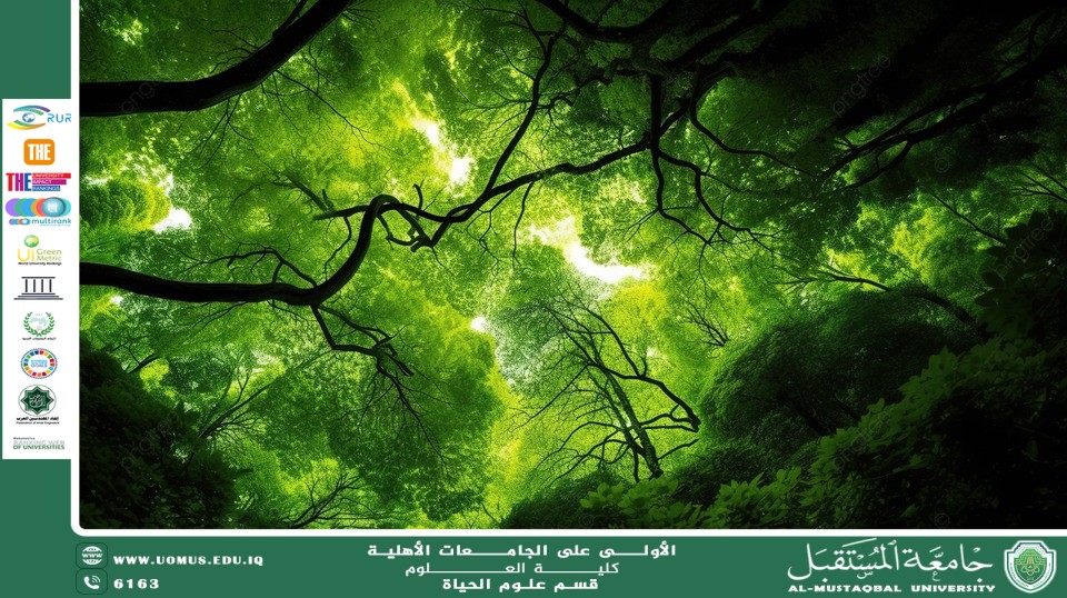 مقالة علمية للانسة نور الهدى عزمي حسن  بعنوان " الاستدامة البيئية كعنصر محوري في خطط التنمية المستدامة"
