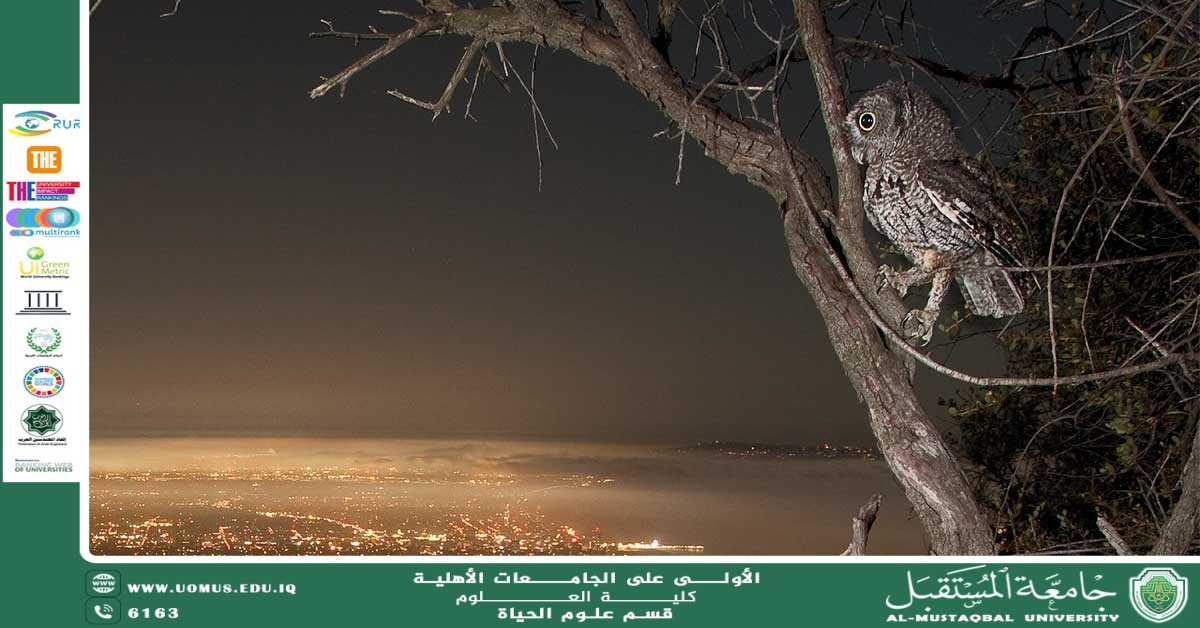 مقالة علمية للانسة نور الهدى عزمي حسن بعنوان "تأثير التلوث الضوئي على سلوك الحيوانات الليلية"