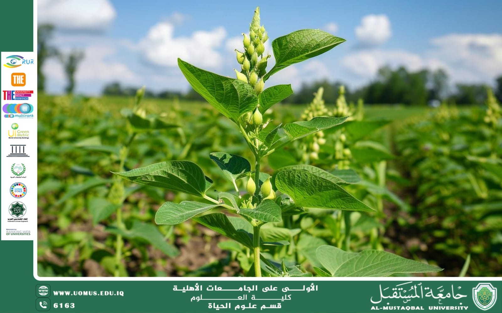 مقالة علمية للانسة نور الهدى عزمي حسن بعنوان "دور النباتات في دورة الكربون وتأثيرها على المناخ"