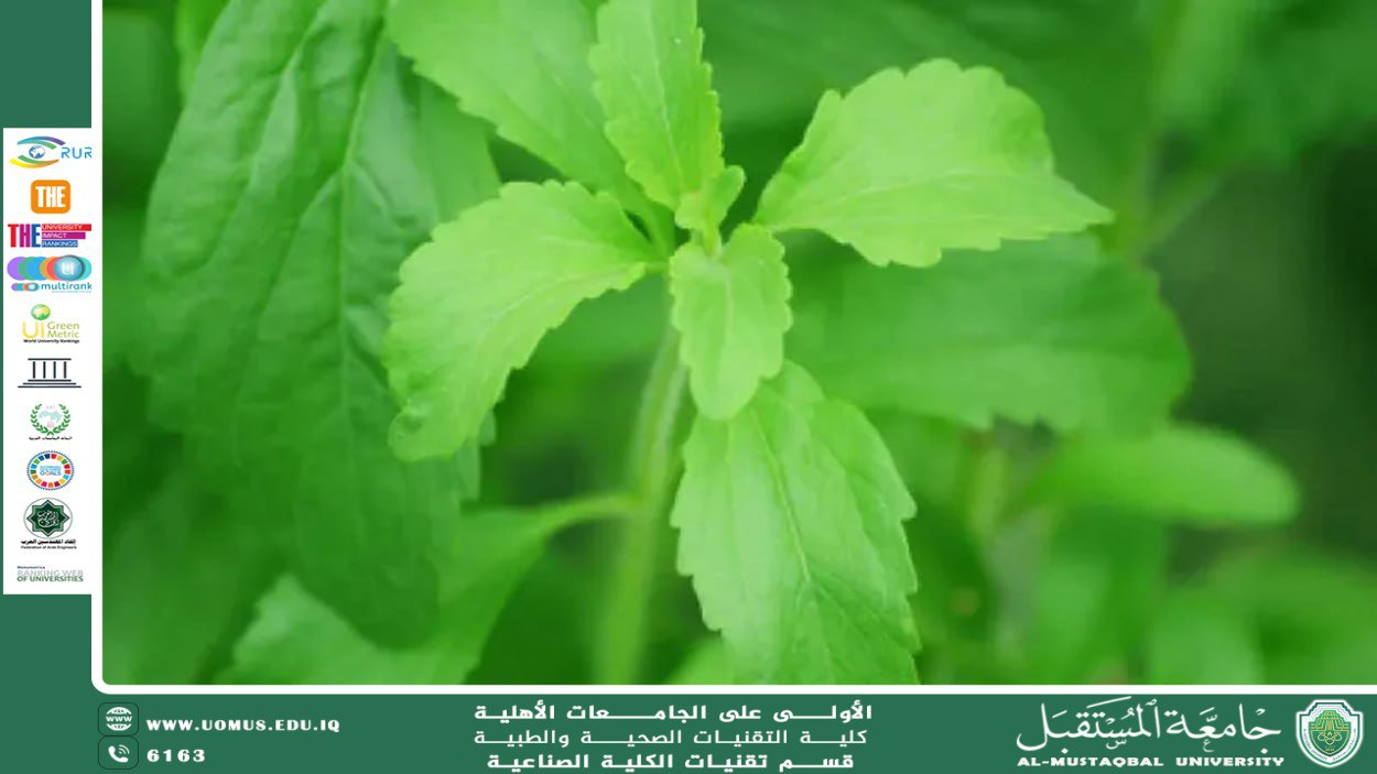 هل تستخدم ستيفيا كسلاحً طبيعيً ضد سرطان البنكرياس