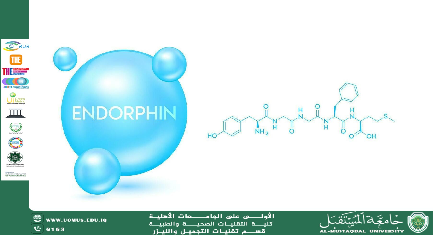 Endorphins: The Body's Natural Key to Happiness
