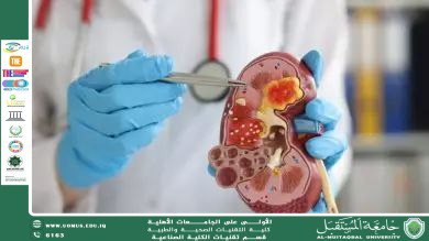 Modern Strategies for Preventing Kidney Function Decline in Chronic Kidney Disease Patients