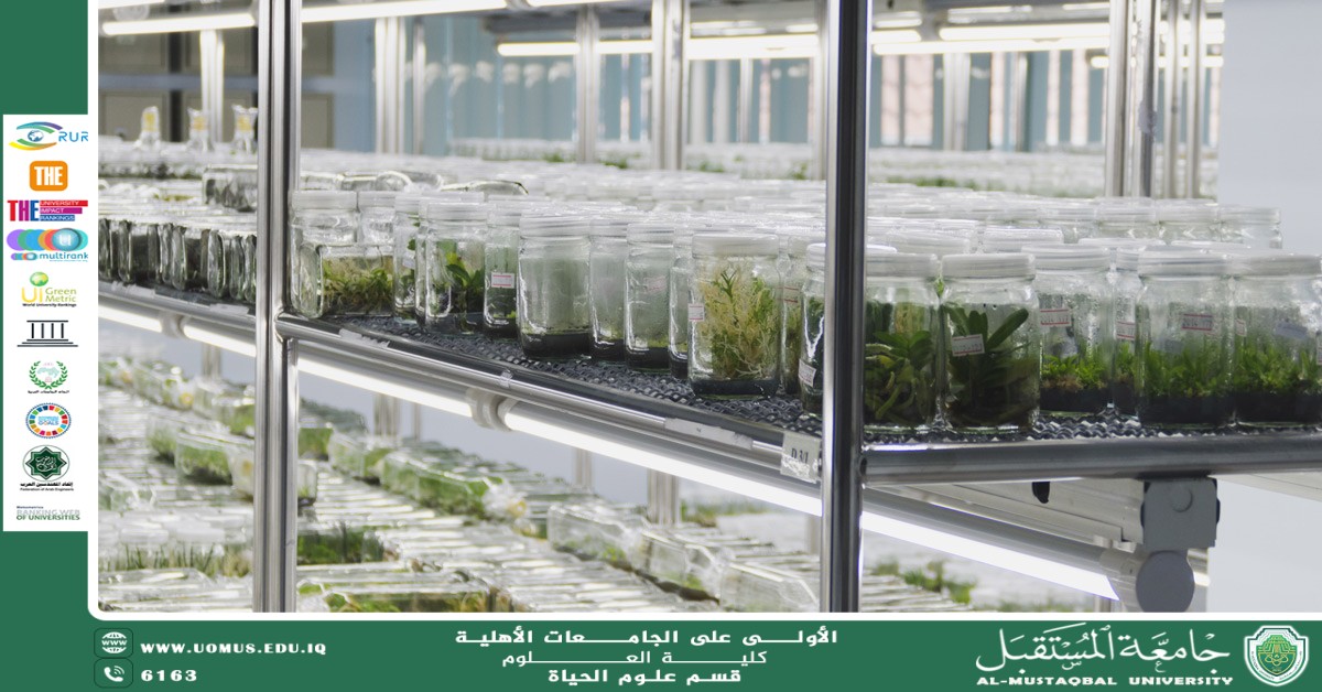 A scientific article by Ms. Noor Al-Huda Azmi Hassan entitled "Beneficial microbes in agriculture"