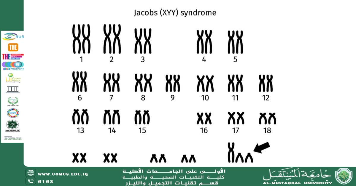 Chromosome Analysis and Its Role in Genetic Diagnosis