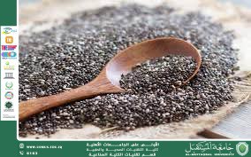 أضرار بذور الشيا على الكلى