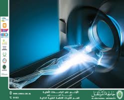 Quantum Learning for Medical Imaging — Promising Potentials and Future Challenges Prof. Dr. Mehdi Ebady Manaa – Al-Mustaqbal University