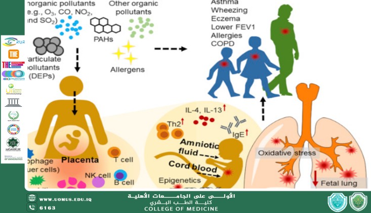 The Impact of Air Pollution on Respiratory Health