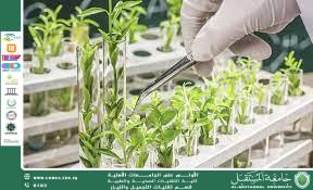 An article by Mrs. Huda Rafid titled "Genetic Improvement of Plants through Genetic Engineering".