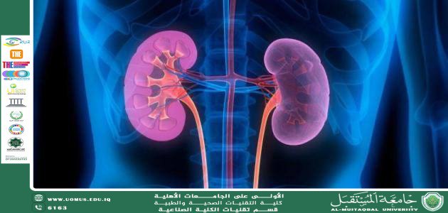 أسباب تضخم الكلى وطرق التشخيص والعلاج