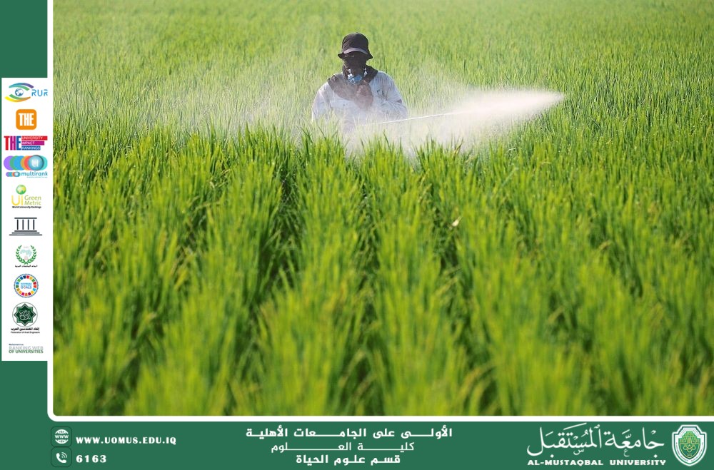 A scientific article by teaching assistant Banin Maan Karim entitled "The effect of fertilizers and pesticides on plant and microbial life in the soil"