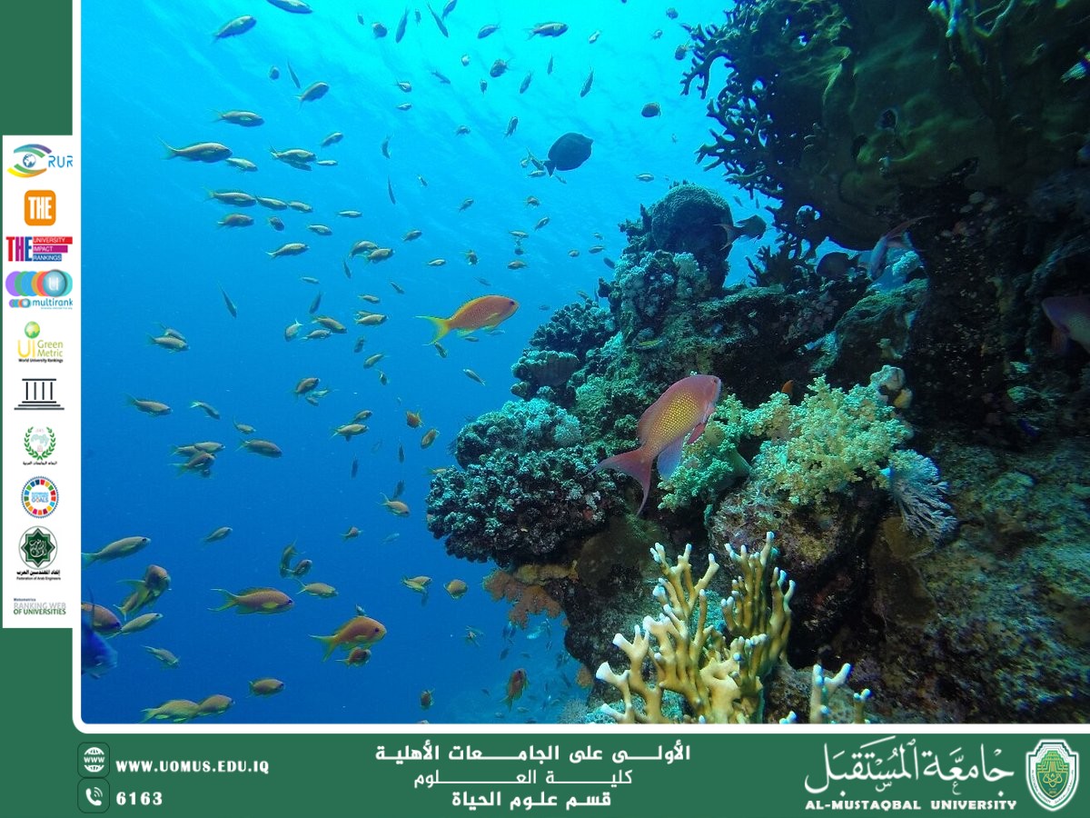 مقالة علمية للانسة نور الهدى عزمي حسن بعنوان "الانظمة البيئية البحرية"