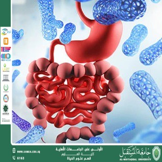 مقالة علمية للانسة نور الهدى عزمي حسن بعنوان "أهمية البروتينات في بناء الجسم وتجديد الخلايا"